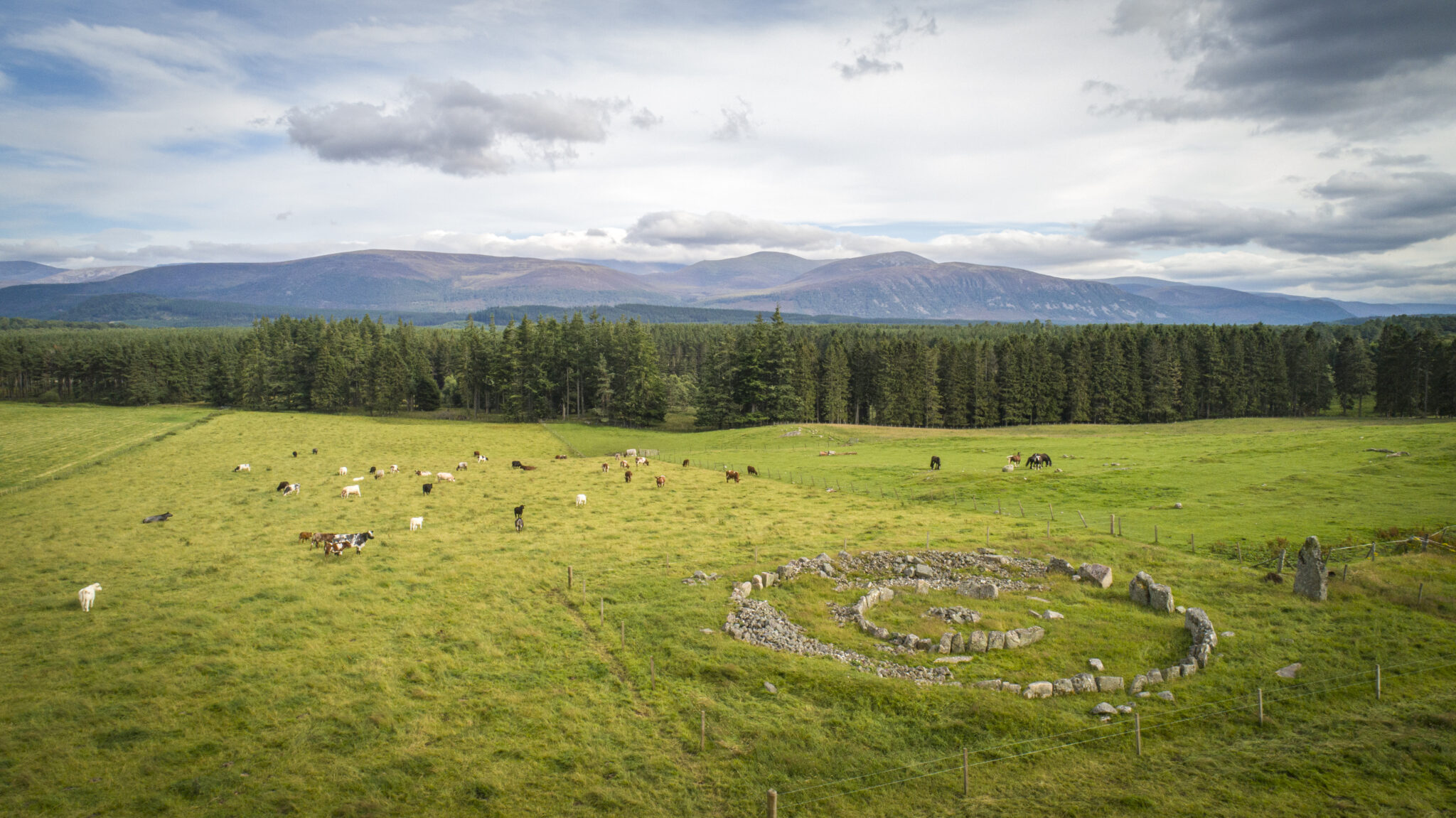Picture of Delfour Ring Cairn from the air.