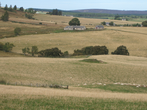 Picture of the Bishop's Croft at Kirdals.